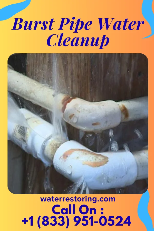 Burst Pipe Water Cleanup in Hornell, NY