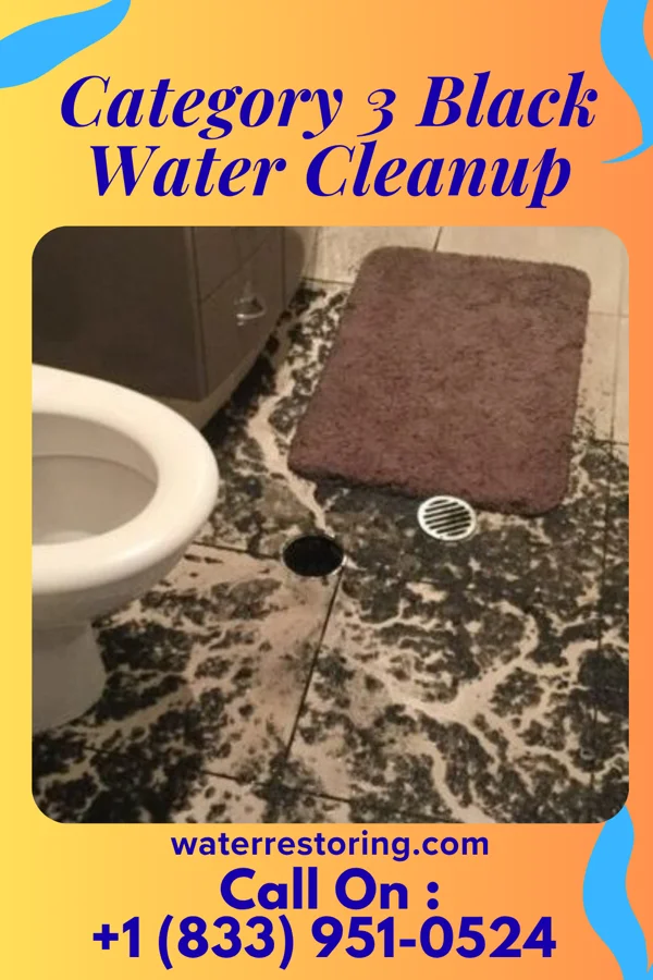 Category 3 Black Water Cleanup in Hornell, NY