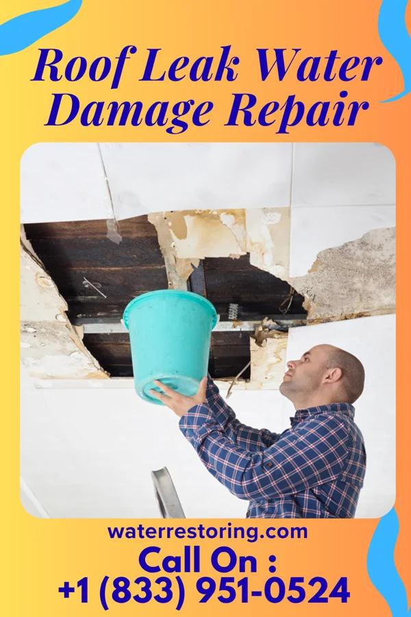 Roof Leak Water Damage Repair in Hornell, NY