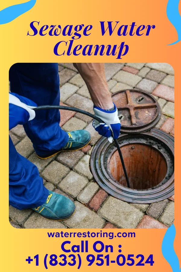 Sewage Water Cleanup in Hornell, NY